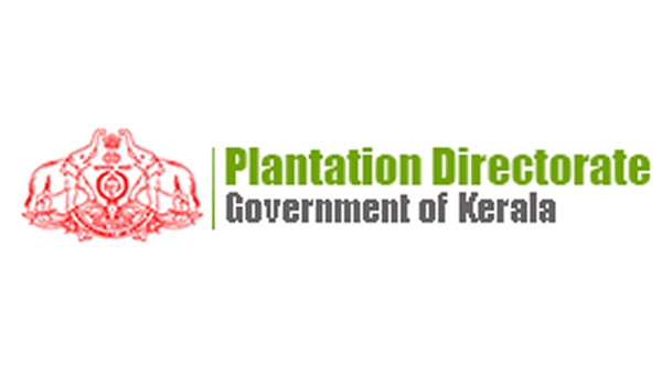 Plantation